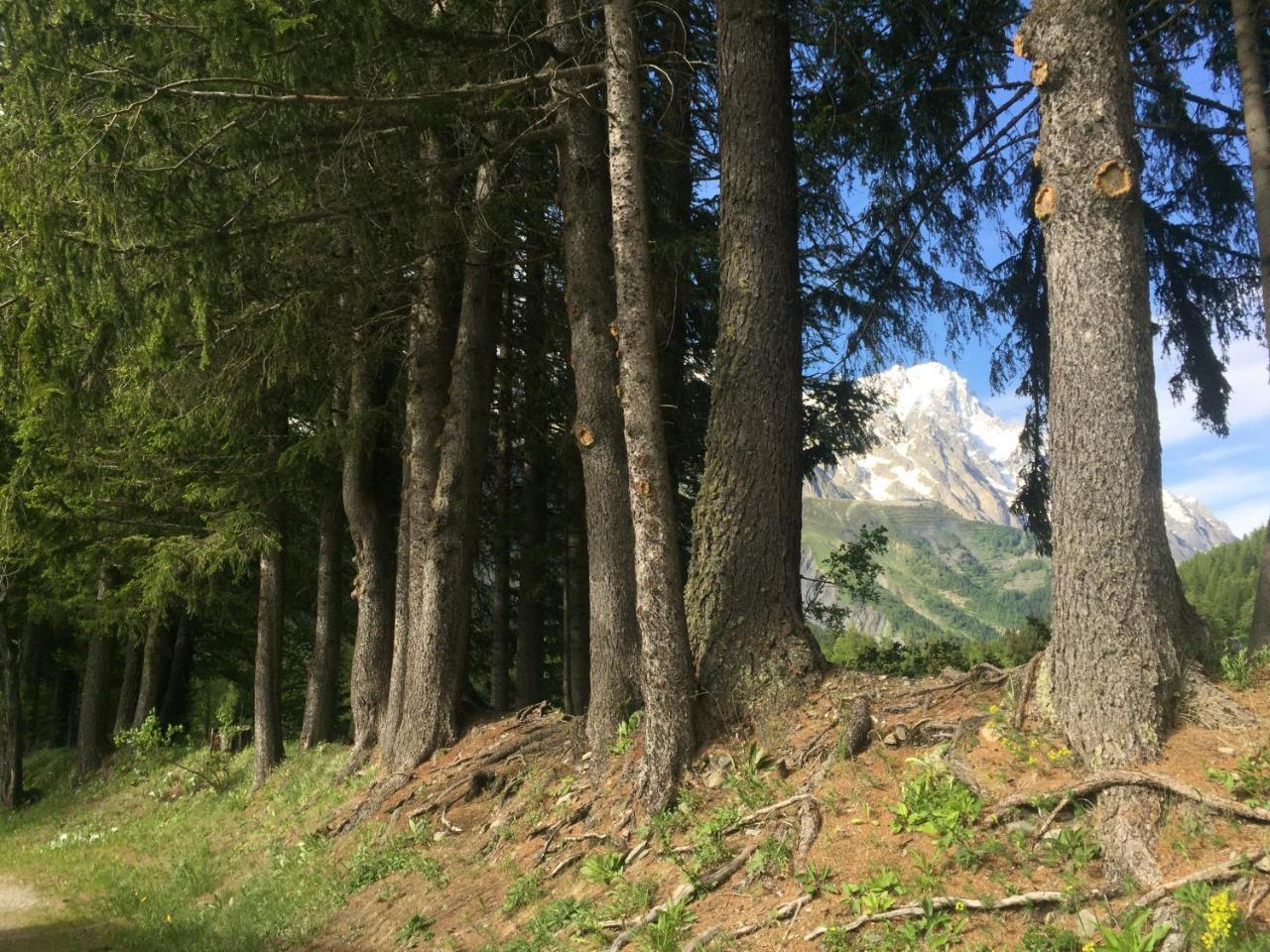 Hobo Camping Courmayeur Exterior photo